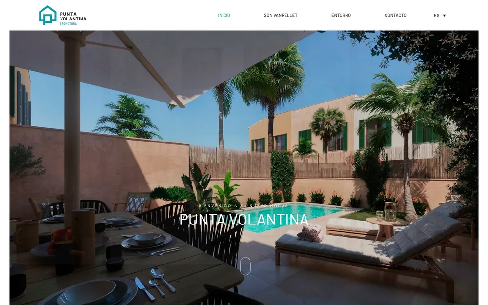 Diseño web Punta Volantina