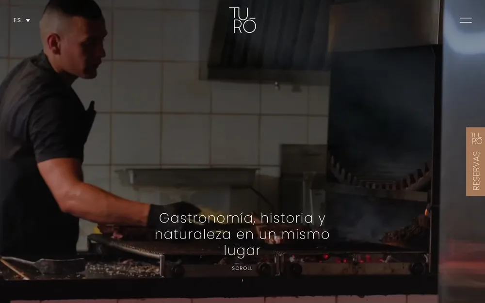 Diseño web Turó