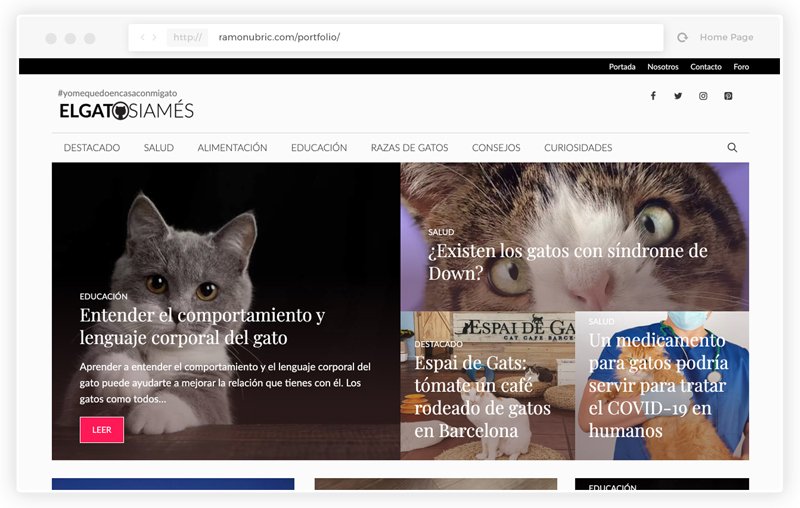 Diseño web revista online gatos