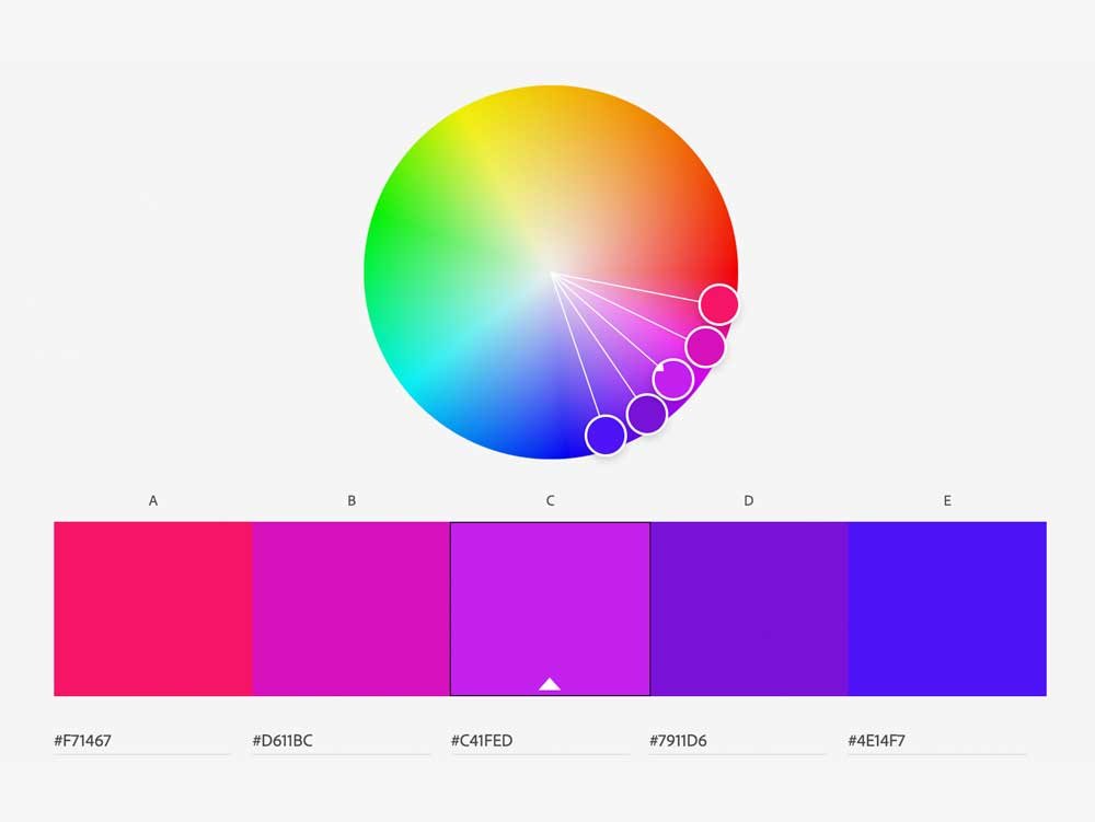 generadores de paletas de colores online